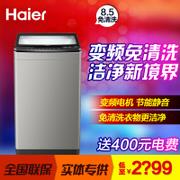 海尔洗衣机全自动波轮8.5公斤变频免清洗Haier/海尔 MB8518BF61 